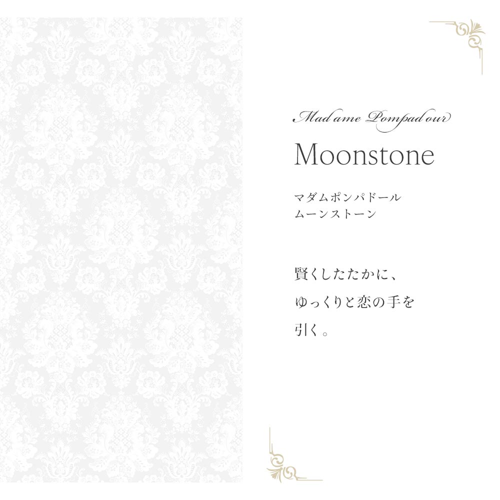 はがせる壁紙 シールタイプ Mon Sucrier ダマスク・レース マダムポンパドール (49cm×3mサイズ) TMS-MP04 ムーンストーン