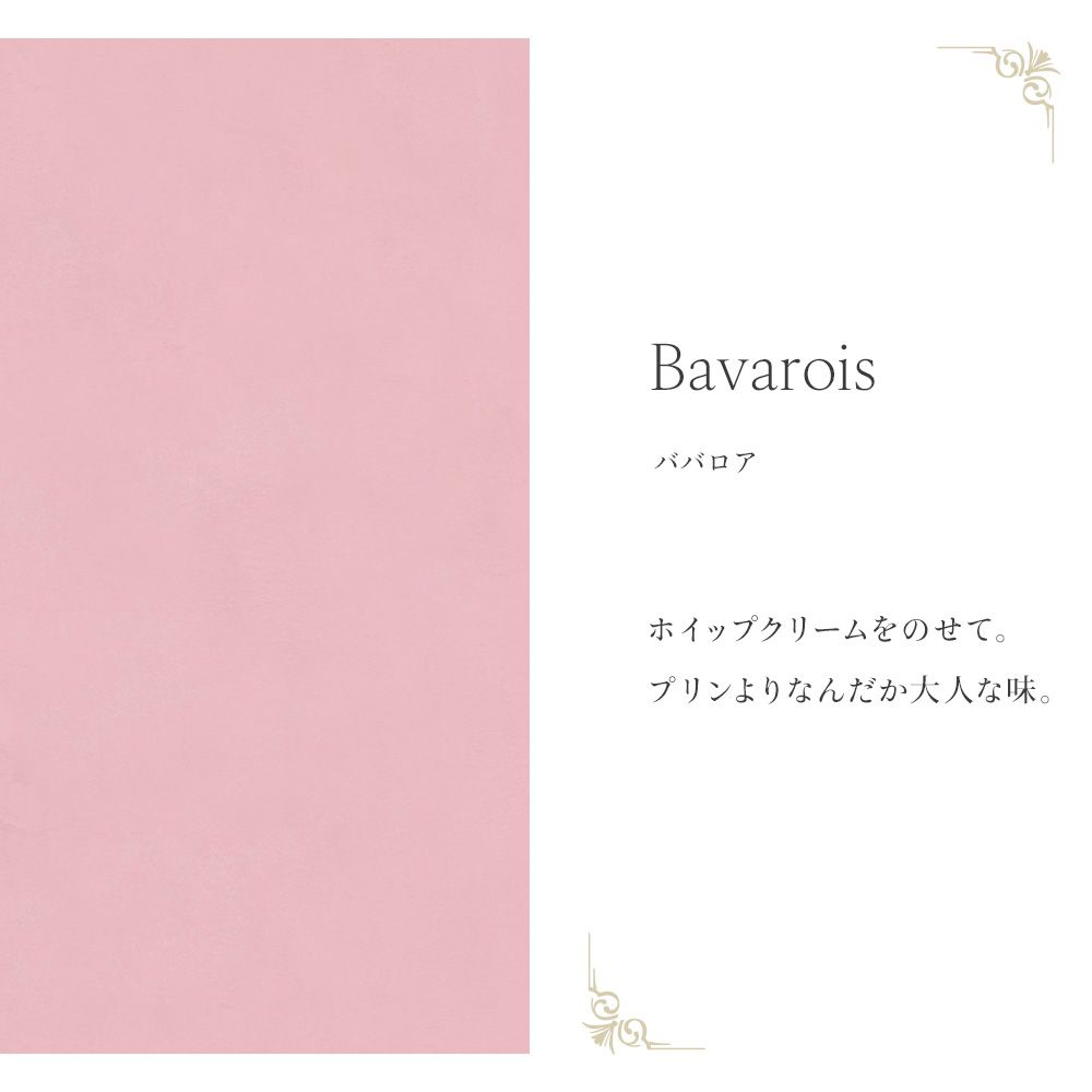 Mon Sucrier プレーン (49cm×2.5mサイズ) TMS-PN12 ババロア