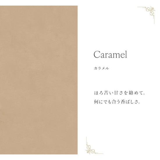 Mon Sucrier プレーン TMS-PN15 カラメル