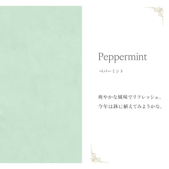 Mon Sucrier プレーン (49cm×3mサイズ) TMS-PN18 ペパーミント