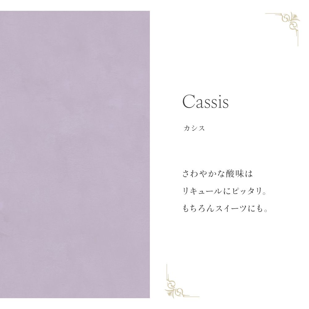 Mon Sucrier プレーン TMS-PN19 カシス