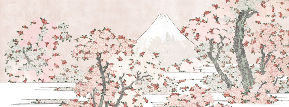 NSO-SAKURA施工イメージ