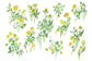 LIGHT BLOOMS Morning White NSO-T00001
