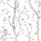 はがせる 壁紙 シール 「NU WALLPAPER」 Gray Woods Peel And Stick Wallpaper / NU1412(NUS1412)