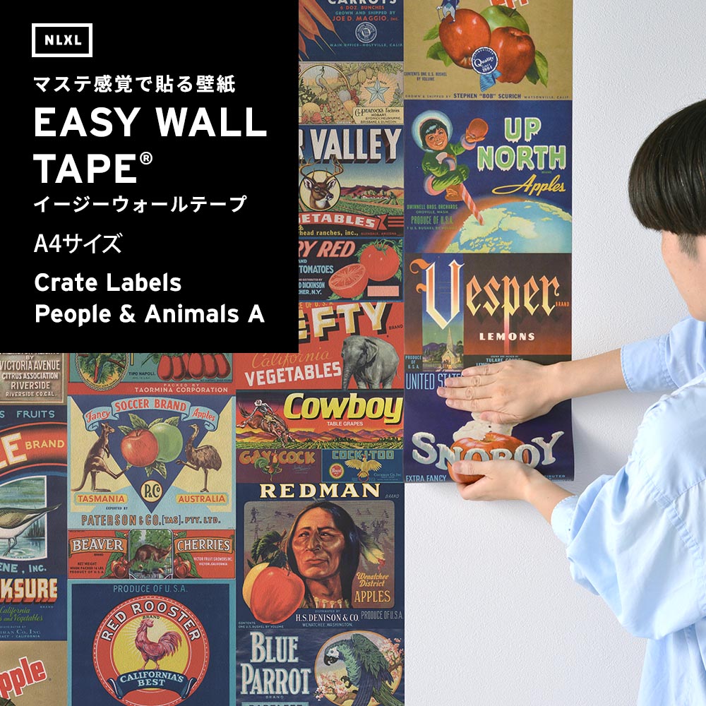 【A4サイズ】EASY WALL TAPE ENX05