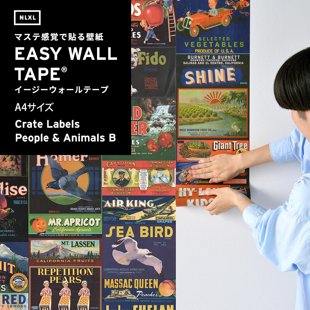 【A4サイズ】EASY WALL TAPE ENX06