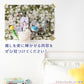 推しを更に輝かせる背景に
