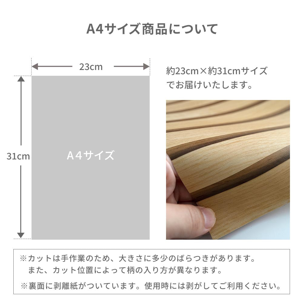 サイズについて