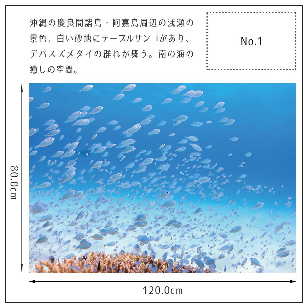 【鍵井 靖章 Yasuaki Kagii】海の景色ポスター Below the surface L No.1