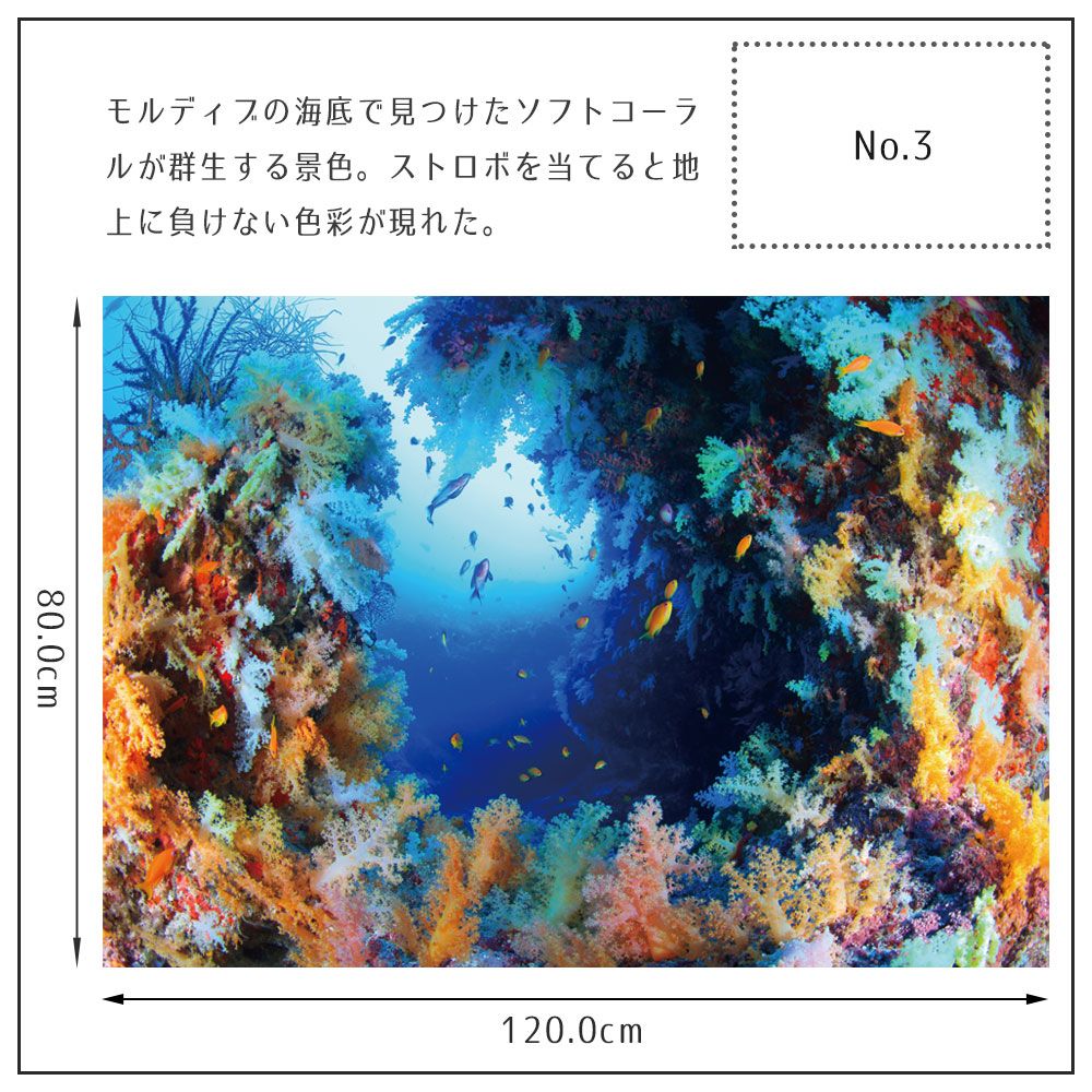 【鍵井 靖章 Yasuaki Kagii】海の景色ポスター Below the surface L No.3