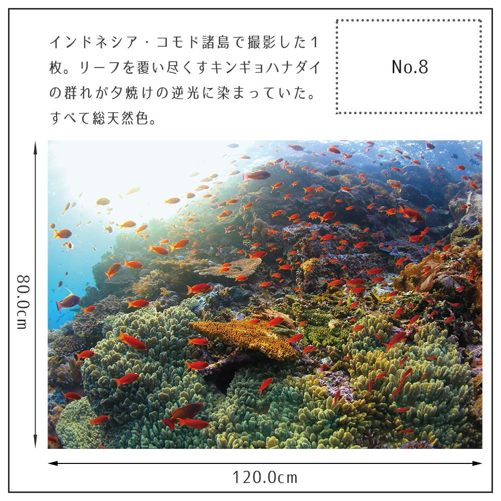 【鍵井 靖章 Yasuaki Kagii】海の景色ポスター Below the surface L No.8