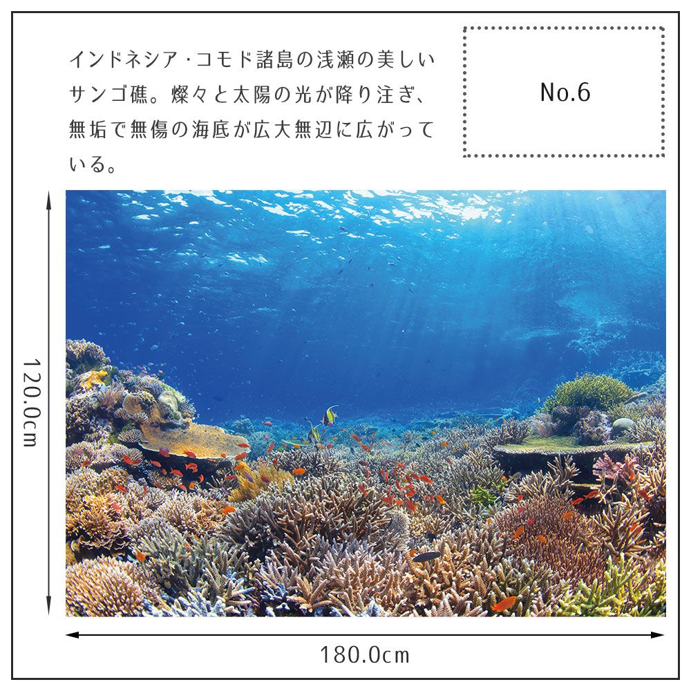 【鍵井 靖章 Yasuaki Kagii】海の景色ポスター Below the surface LL No.6