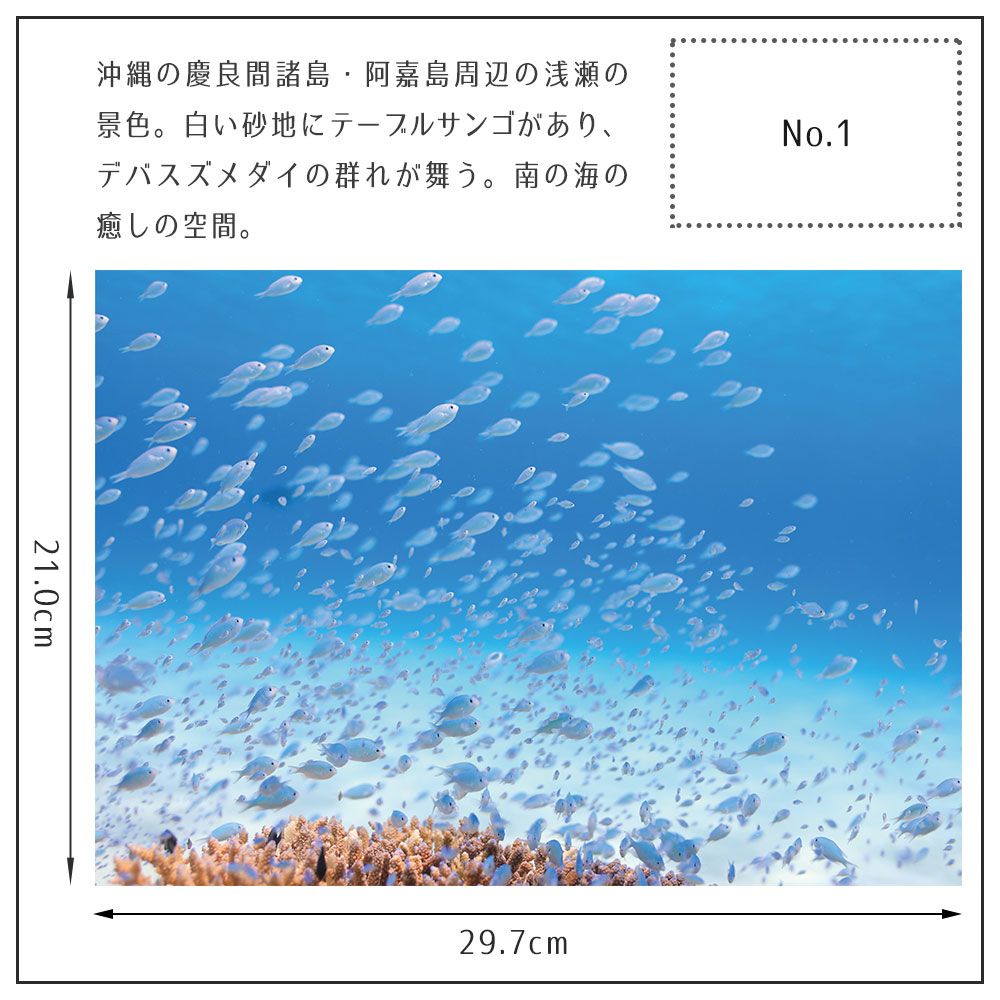 【鍵井 靖章 Yasuaki Kagii】海の景色ポスター Below the surface S No.1