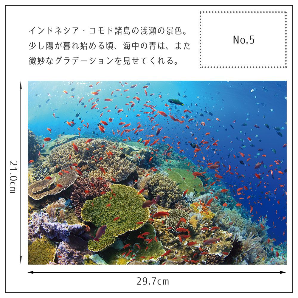 【鍵井 靖章 Yasuaki Kagii】海の景色ポスター Below the surface S No.5