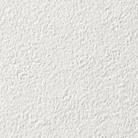 【サンプル】国産壁紙 クロス / サンゲツ / ホワイト RE-55057 FE-76091