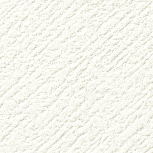 【サンプル】国産壁紙 クロス / サンゲツ / 天井におすすめ RE-55204 FE-76494