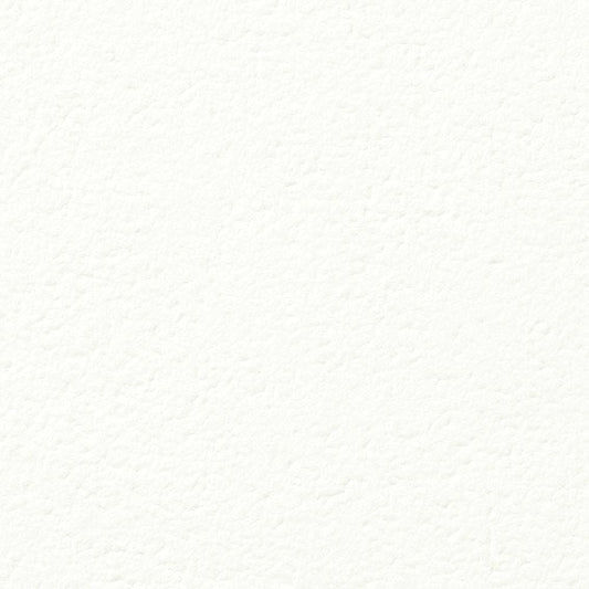 【サンプル】国産壁紙 クロス / サンゲツ / 傷防止におすすめ RE-55311 FE-76290