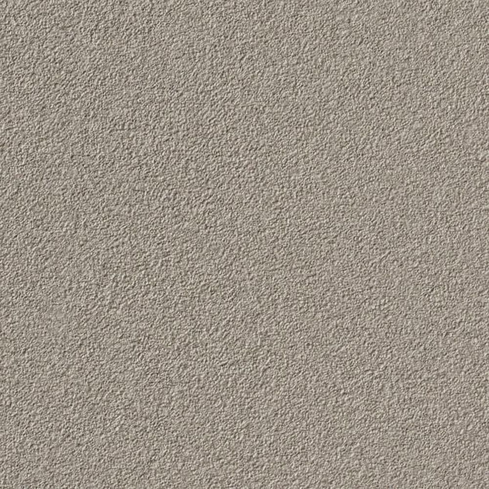 生のり付き【10m+施工道具セット】国産壁紙 クロス / サンゲツ / ペットにおすすめ RE-55462 FE-76415