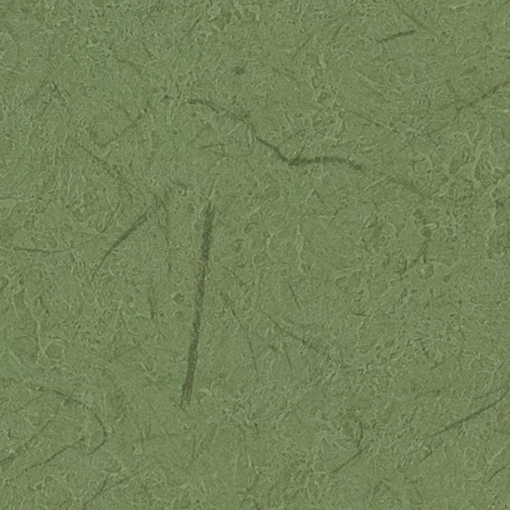 生のり付き【30m+施工道具セット】国産壁紙 クロス / サンゲツ / 和室におすすめ RE-55695