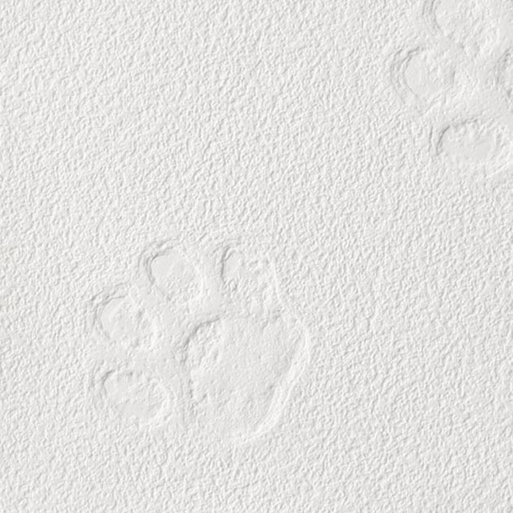 生のり付き【10m+施工道具セット】国産壁紙 クロス / サンゲツ / パターン柄 RE-55858