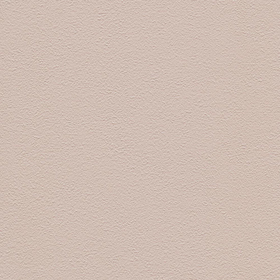 RF-3004　俯瞰画像