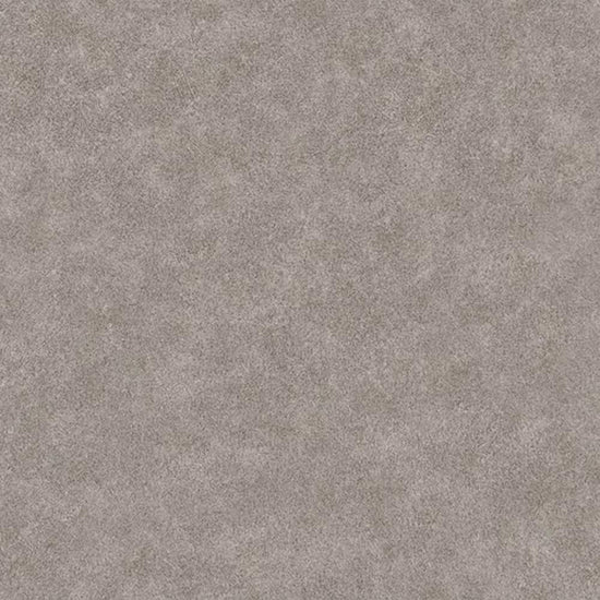 RF-3019　俯瞰画像