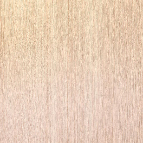 RF-3079　俯瞰画像