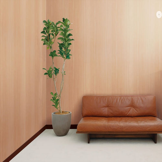 RF-3080　施工画像