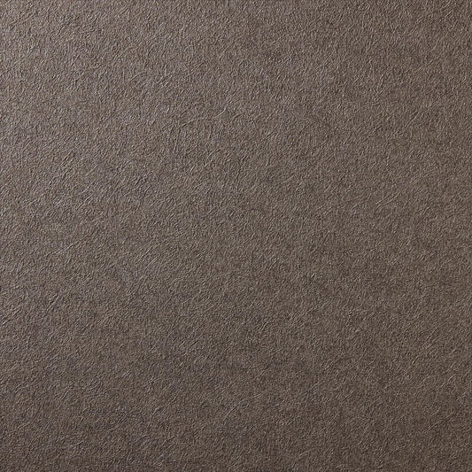 RF-3131 RH-9341 壁紙 のり付き クロス / ルノン / フレッシュ 和室におすすめ【10mパック】