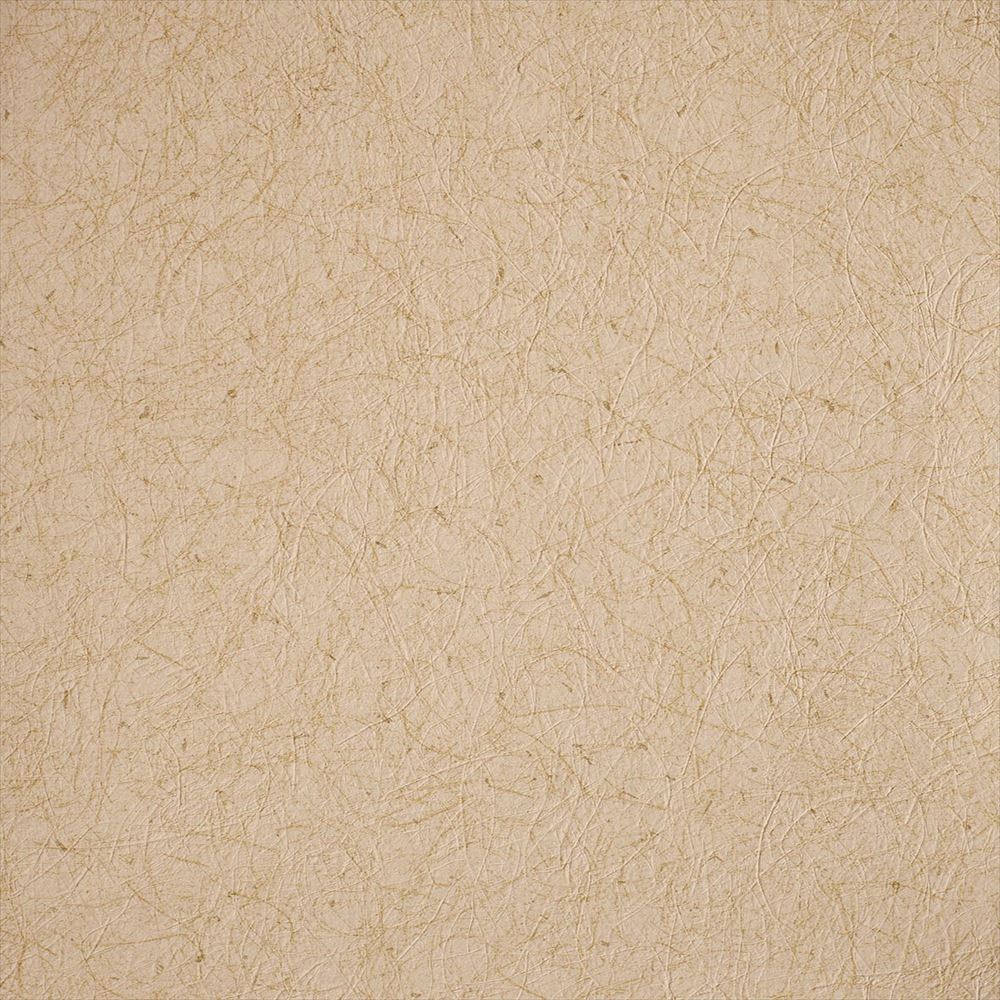 RF-3134 RH-9335 壁紙 のり付き クロス / ルノン / フレッシュ 和室におすすめ【10m+施工道具セット】