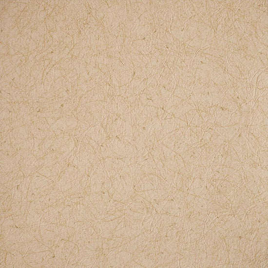 RF-3134　俯瞰画像