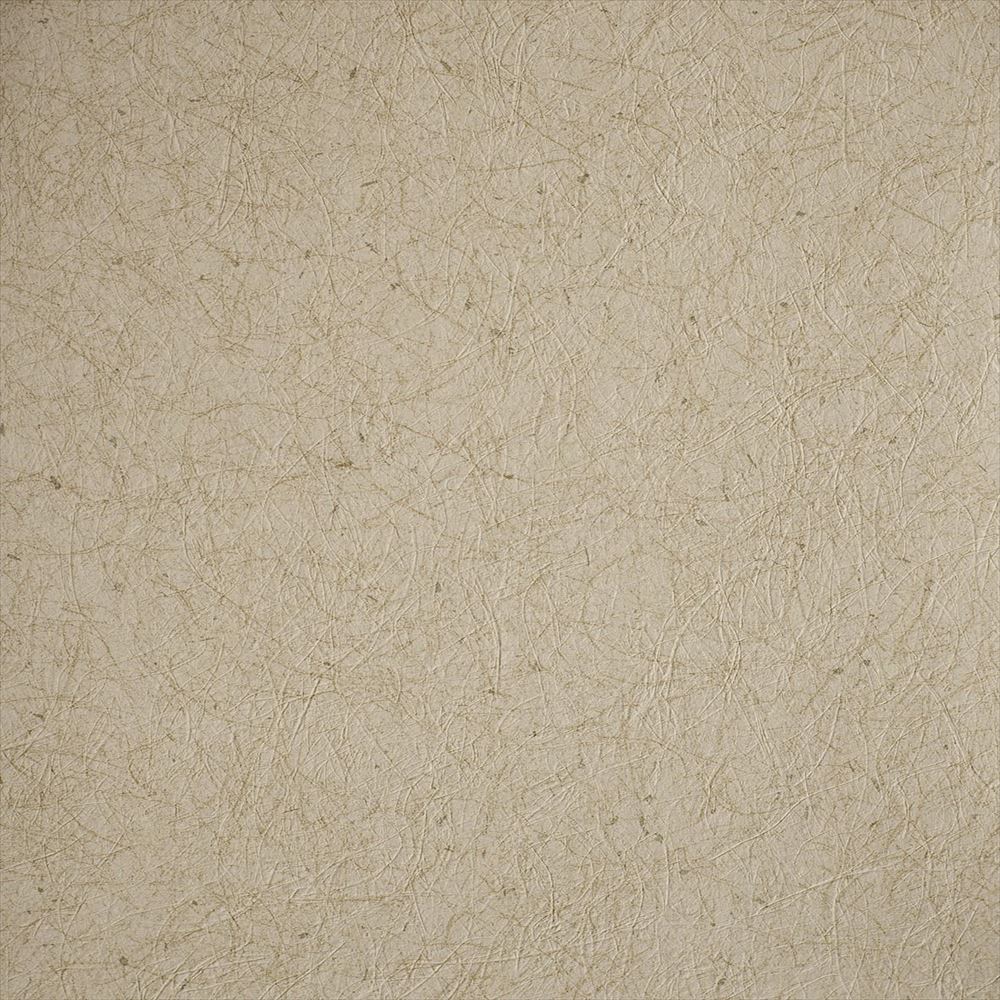 RF-3135　俯瞰画像