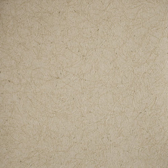 RF-3135　俯瞰画像