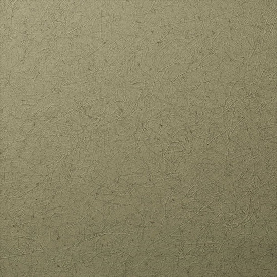 RF-3136　俯瞰画像