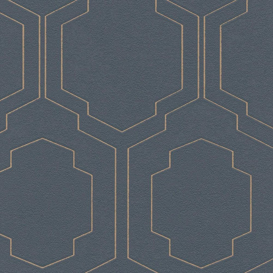 RF-3165　俯瞰画像