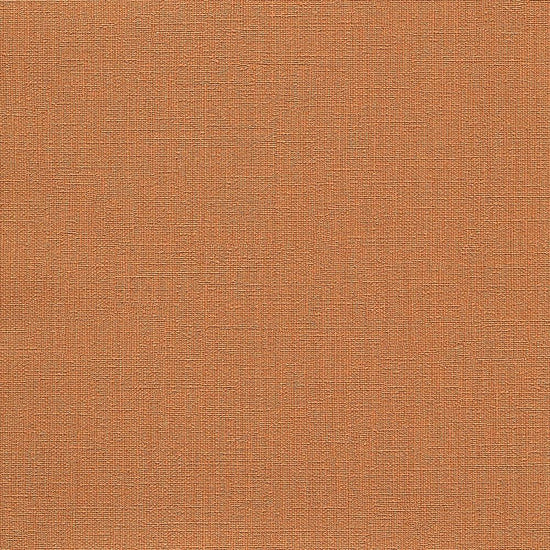 RF-3251　俯瞰画像