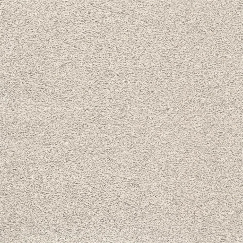 RF-3258　俯瞰画像