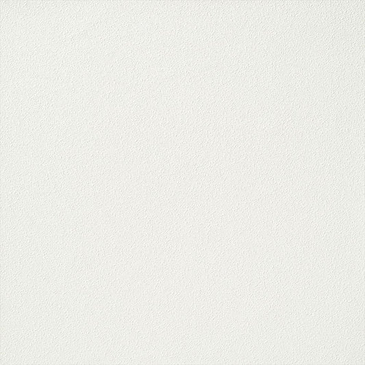 RF-3294 RH-9461 壁紙 のり付き クロス / ルノン / フレッシュ 天井におすすめ【30m+施工道具セット】