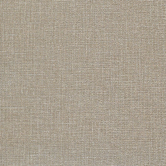 RF-3339 壁紙 のりなし クロス / ルノン / フレッシュ グレーの無地【サンプル】