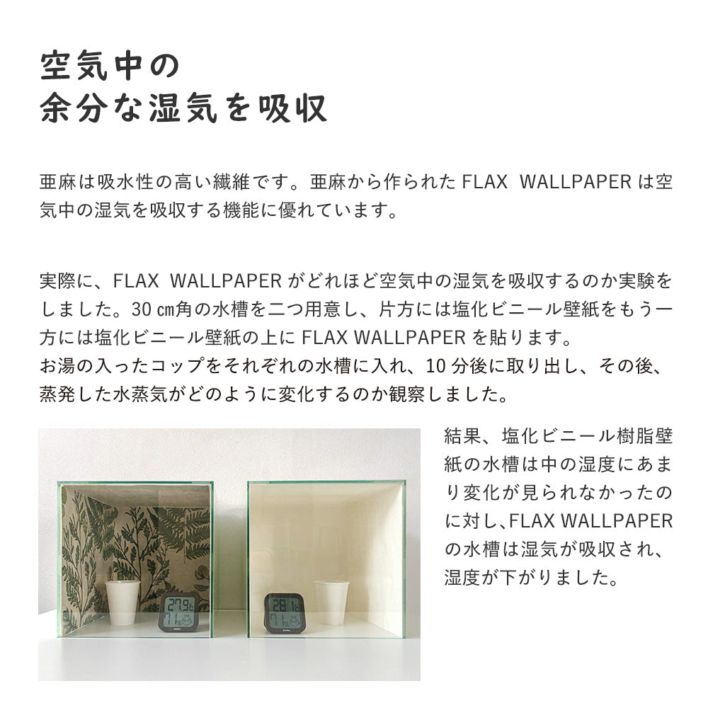 FLAX ART POSTER Encyclopaedia フラックス アートポスター エンサイクロペディア ワイルドフラワーB FWP-AP-EN1B