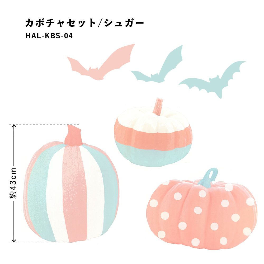 Hattan Halloween ハッタン ハロウィン カボチャセット シュガー HAL-KBS-04