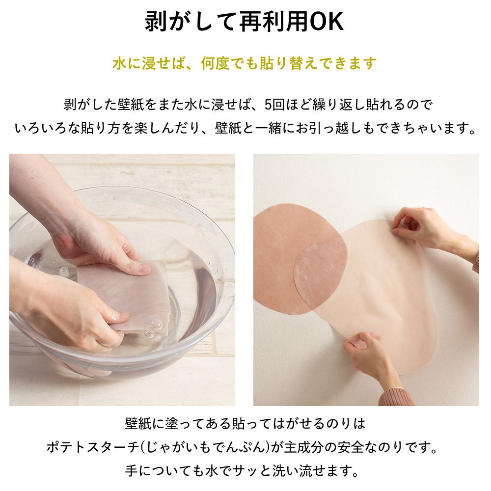 Hattan Art Poster ハッタンアートポスター 葛飾北斎 諸国滝廻り 下野黒髪山きりふりの滝 / HP-00524 Lサイズ(64cm×90cm)