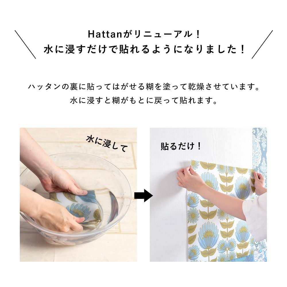 ためしてHattan ハッタンサンプル