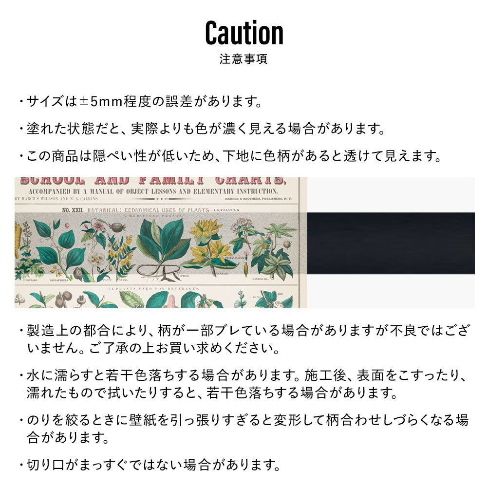 Hattan Art Poster ハッタンアートポスター Fleurs, Texte Et Vingt Pl 19 / HP-00460 Lサイズ(60cm×90cm)