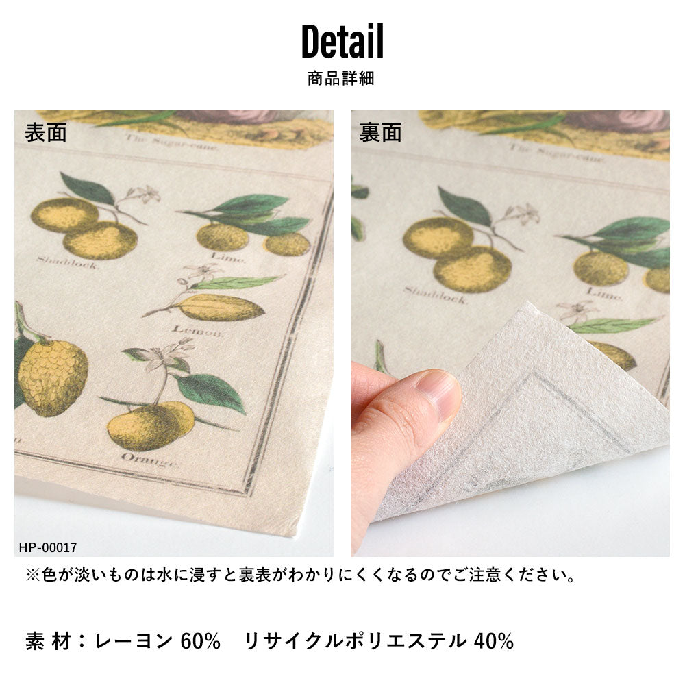 Hattan Art Poster ハッタンアートポスター Leaves from Nature No.9 / HP-00259 Lサイズ(60cm×90cm)