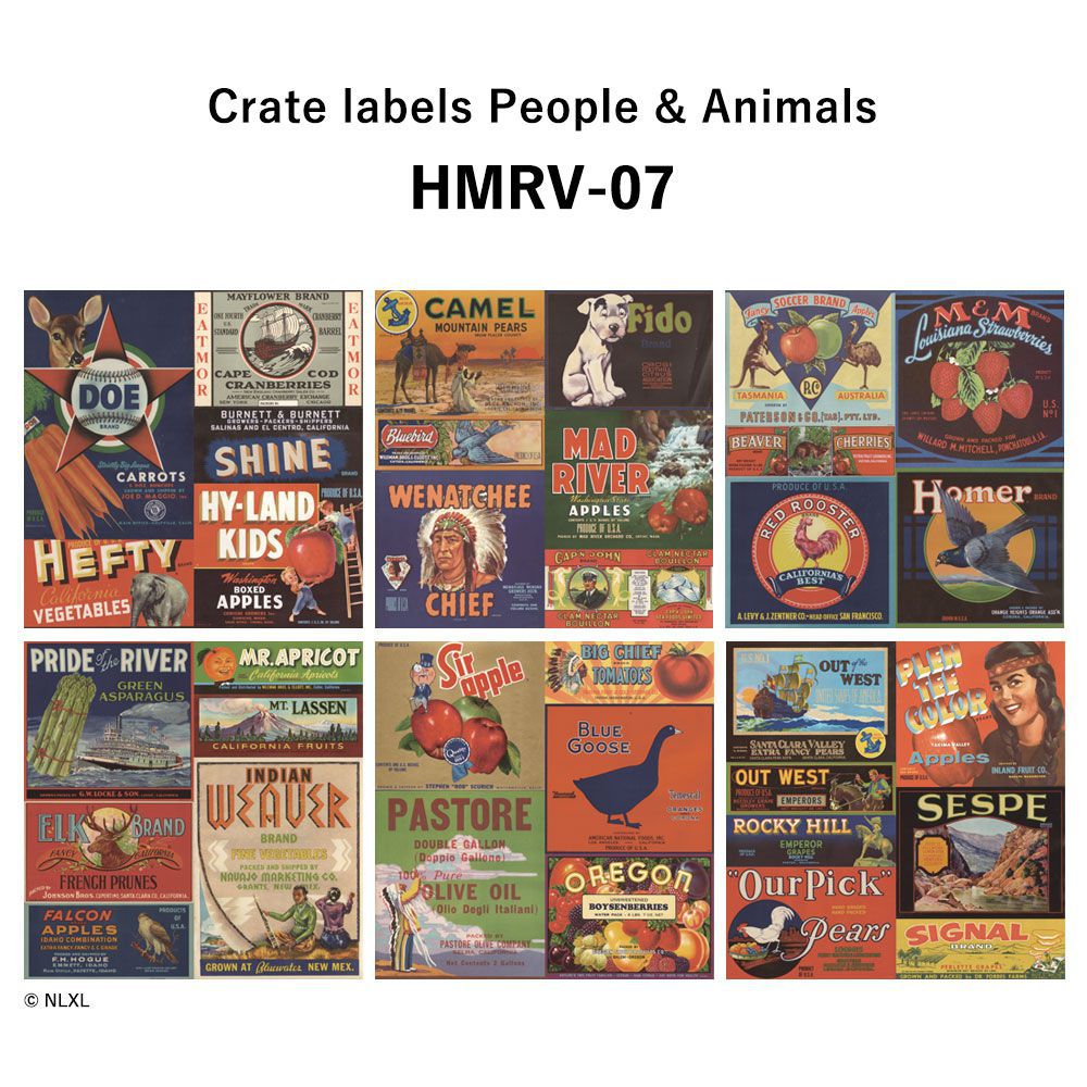 水だけで貼れる壁紙 Hattan NLXL ハッタン Crate labels People & Animals HMRV-07(6枚セット)