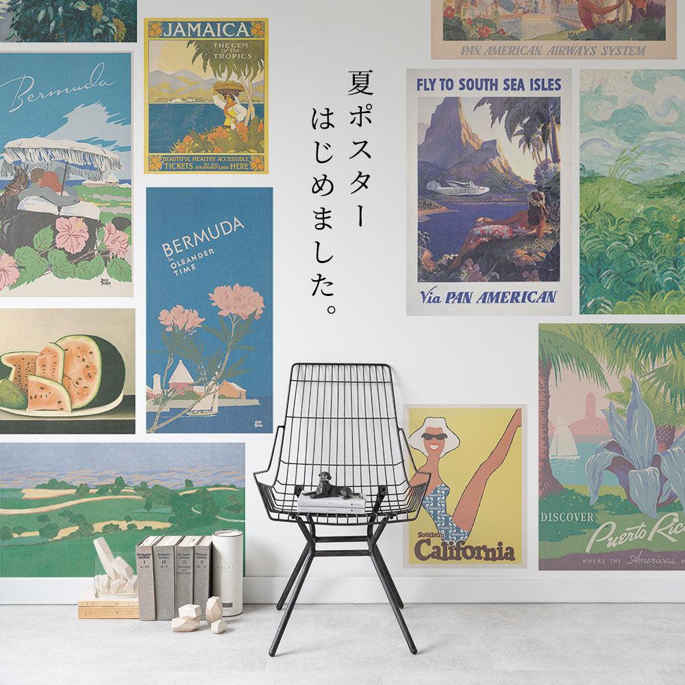 Hattan Art Poster ハッタンアートポスター 名所江戸百景 両国花火  / HP-00508  Mサイズ(45cm×67cm)