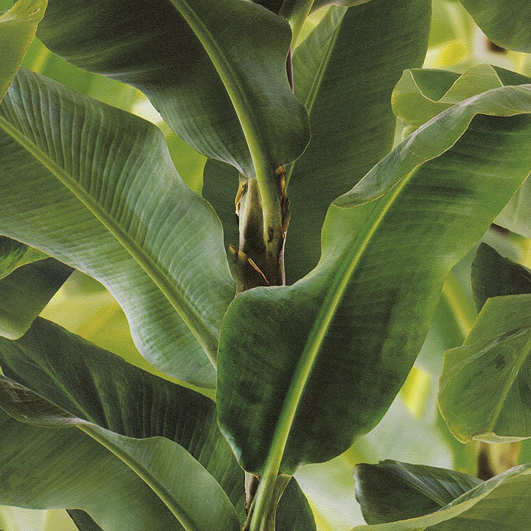 デザインパターン