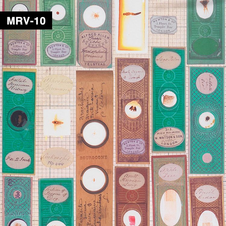 【切売】輸入壁紙 NLXL LAB Mr & Mrs Vintage Microscopic Slides Wallpaper / MRV-10