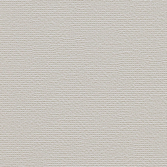 【サンプル】お買い得 国産壁紙 クロス / ルノン / ライトグレー RM-806